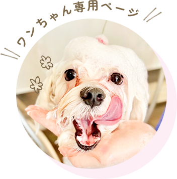 ワンちゃん専用ページ