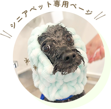 シニアペット専用ページ